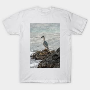 Black-crowned night heron of hawaii 7 T-Shirt